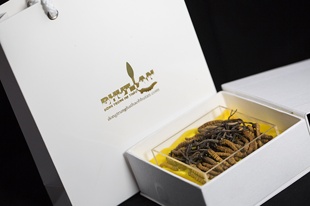 PHAN-LOAI-DONG-TRUNG-HA-THAO-8